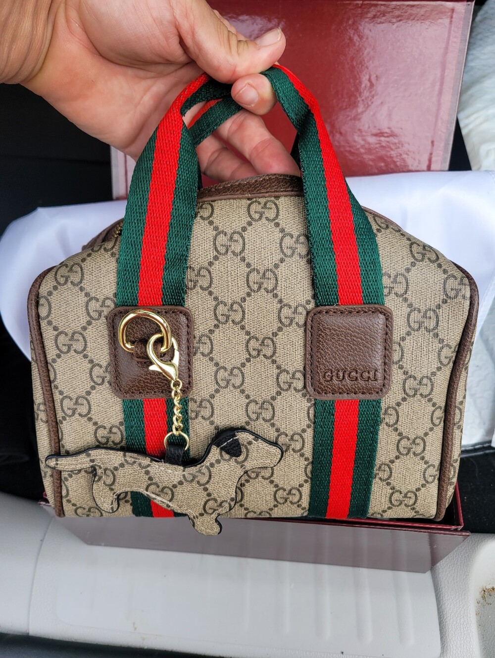GG Crissbody Bag
